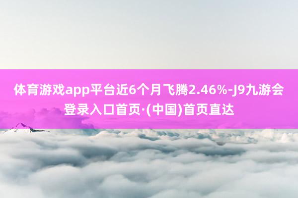 体育游戏app平台近6个月飞腾2.46%-J9九游会登录入口首页·(中国)首页直达