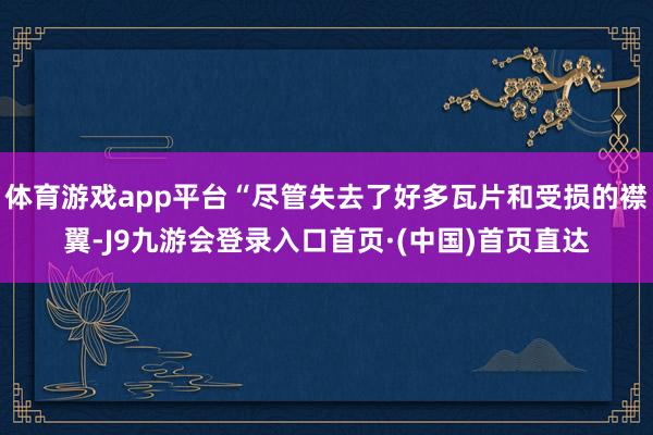 体育游戏app平台“尽管失去了好多瓦片和受损的襟翼-J9九游会登录入口首页·(中国)首页直达