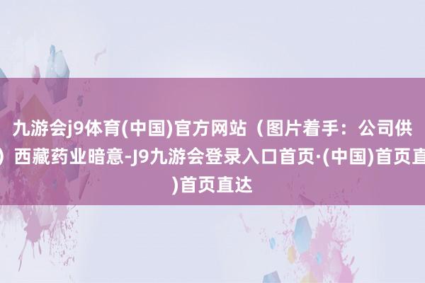 九游会j9体育(中国)官方网站（图片着手：公司供图）西藏药业暗意-J9九游会登录入口首页·(中国)首页直达