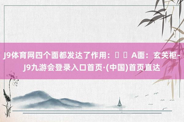 J9体育网四个面都发达了作用：▪️A面：玄关柜-J9九游会登录入口首页·(中国)首页直达